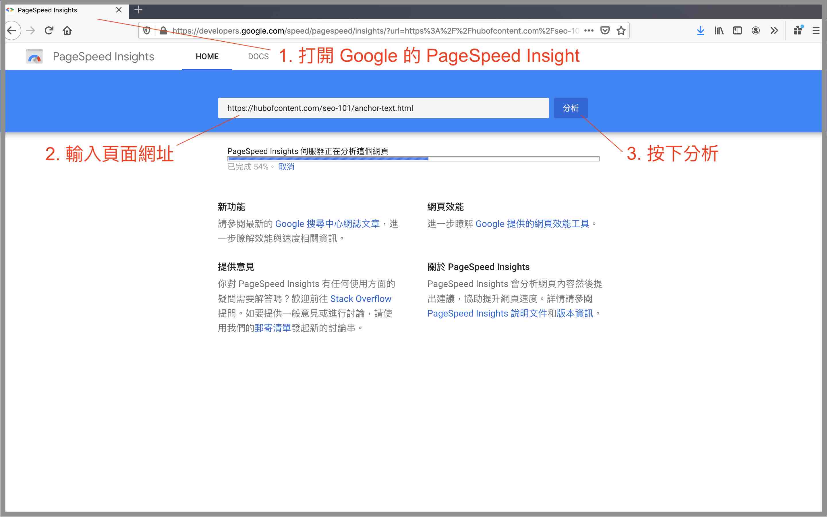 PageSpeed-Insight步驟